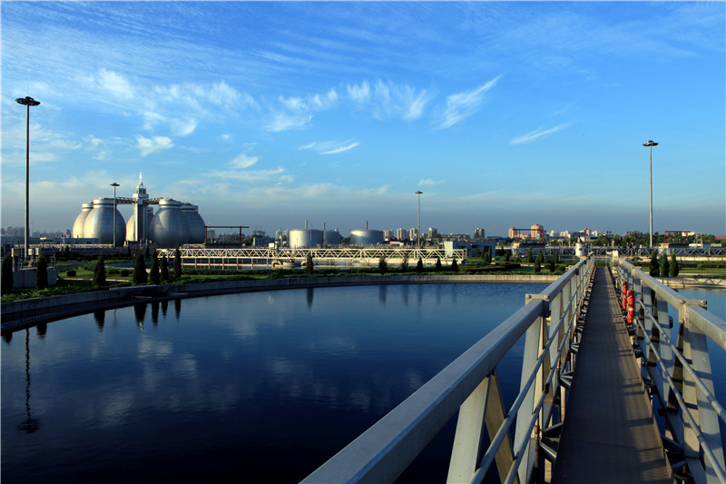 1624332278601441.jpg 圖1.JPG